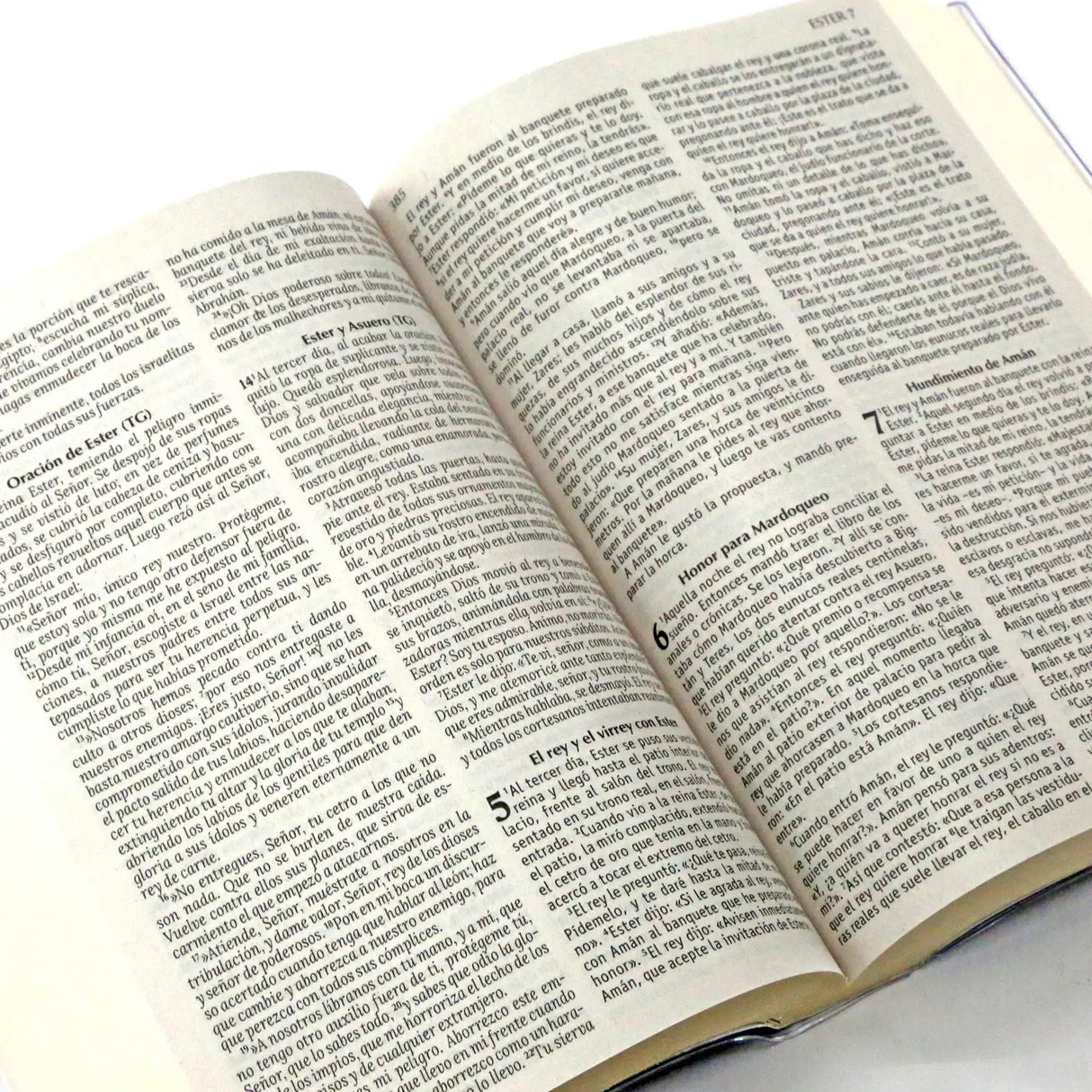 La Biblia de nuestro pueblo pequeña - Tapa blanda