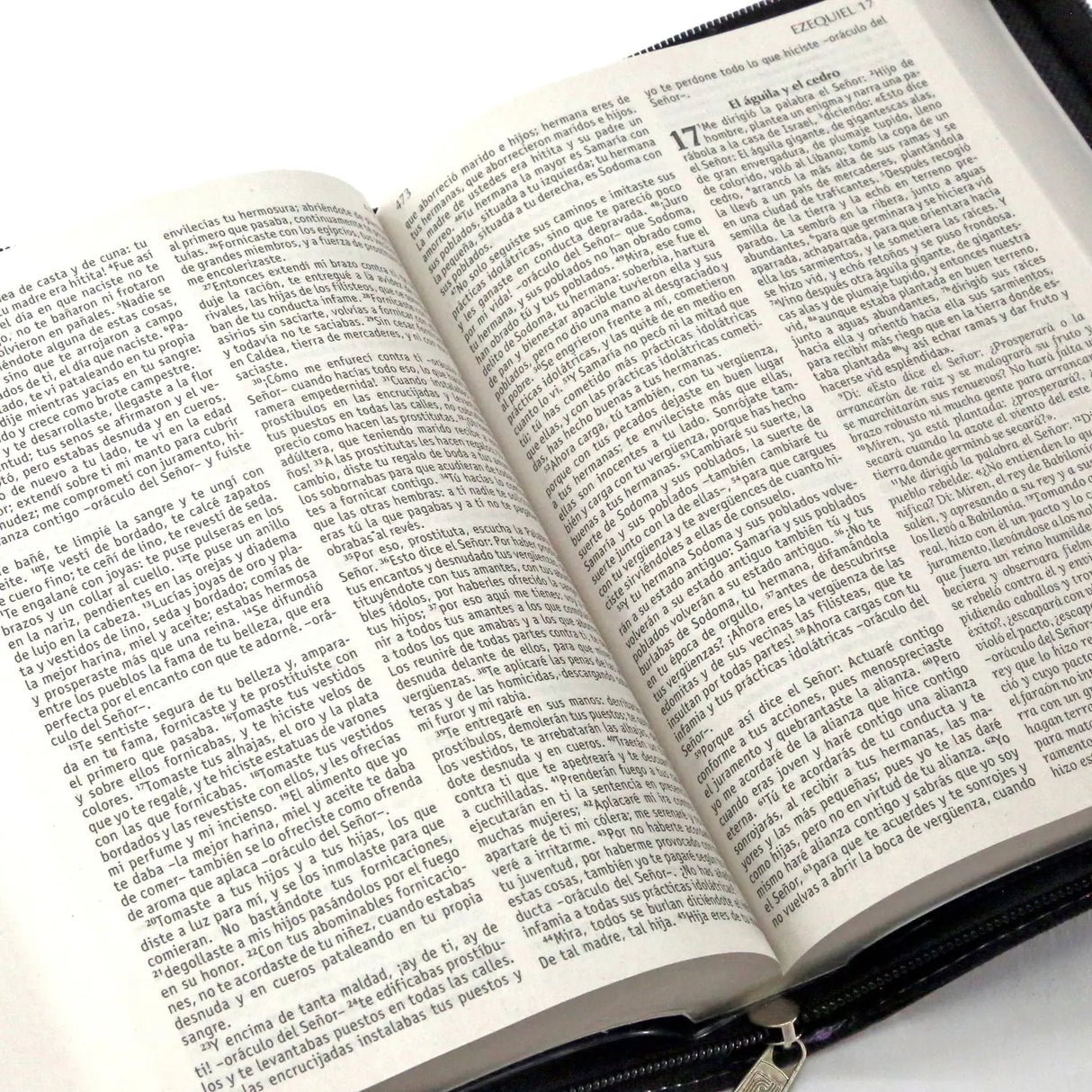 La Biblia de Nuestro Pueblo - con estuche