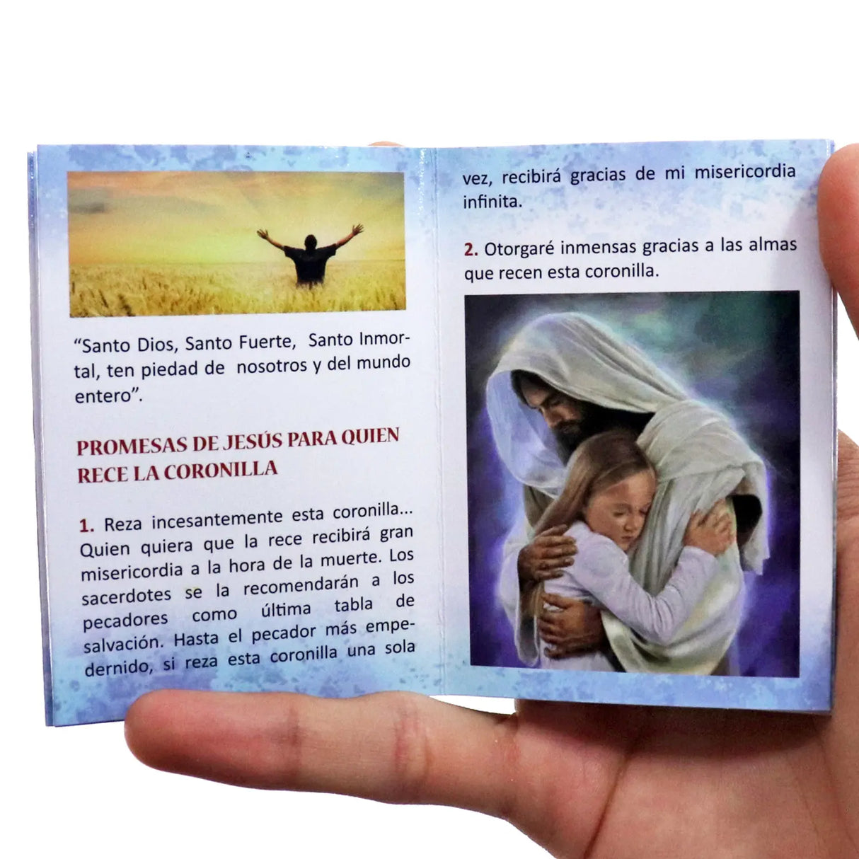 Minibook - The Chaplet of Divine Mercy