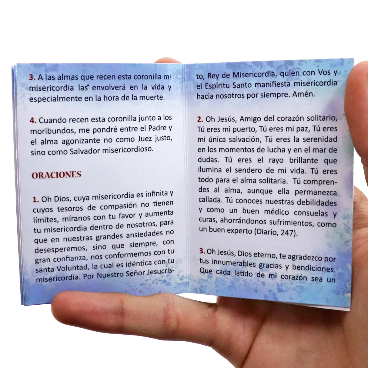Minibook - The Chaplet of Divine Mercy