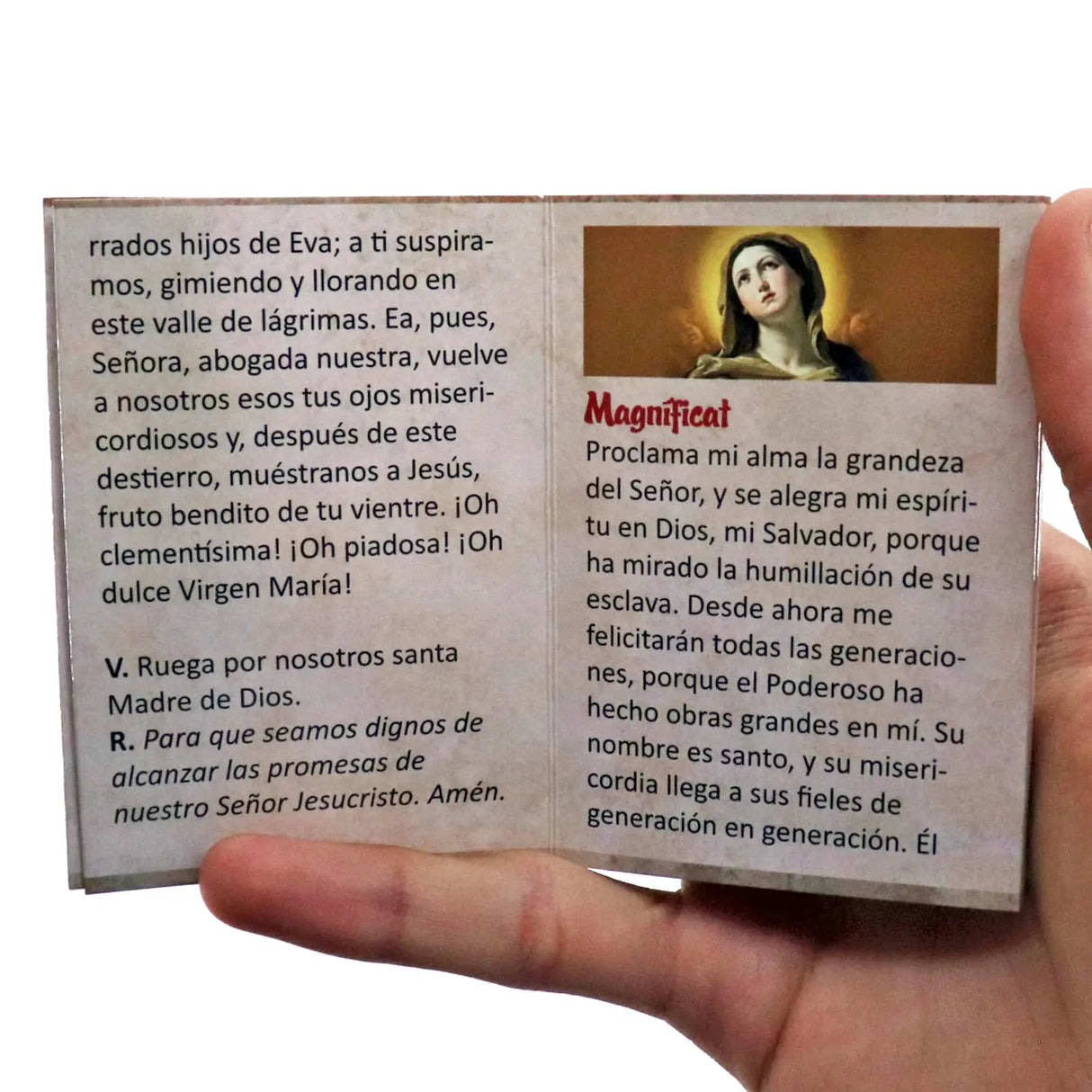 Mini Book - Mini Devotional