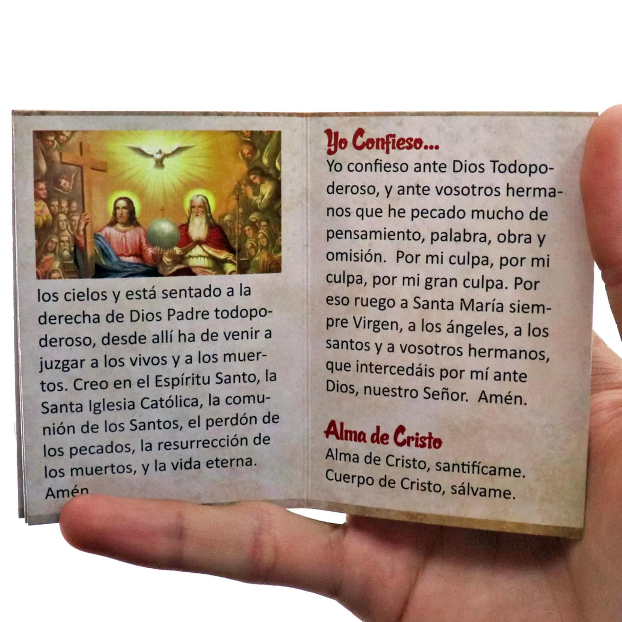 Mini Book - Mini Devotional