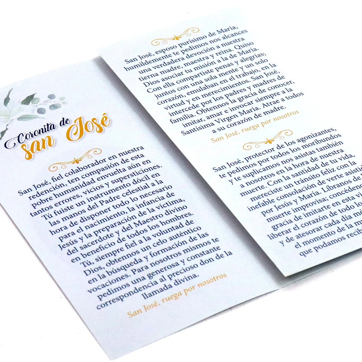 Plegable - Coronita de san josé