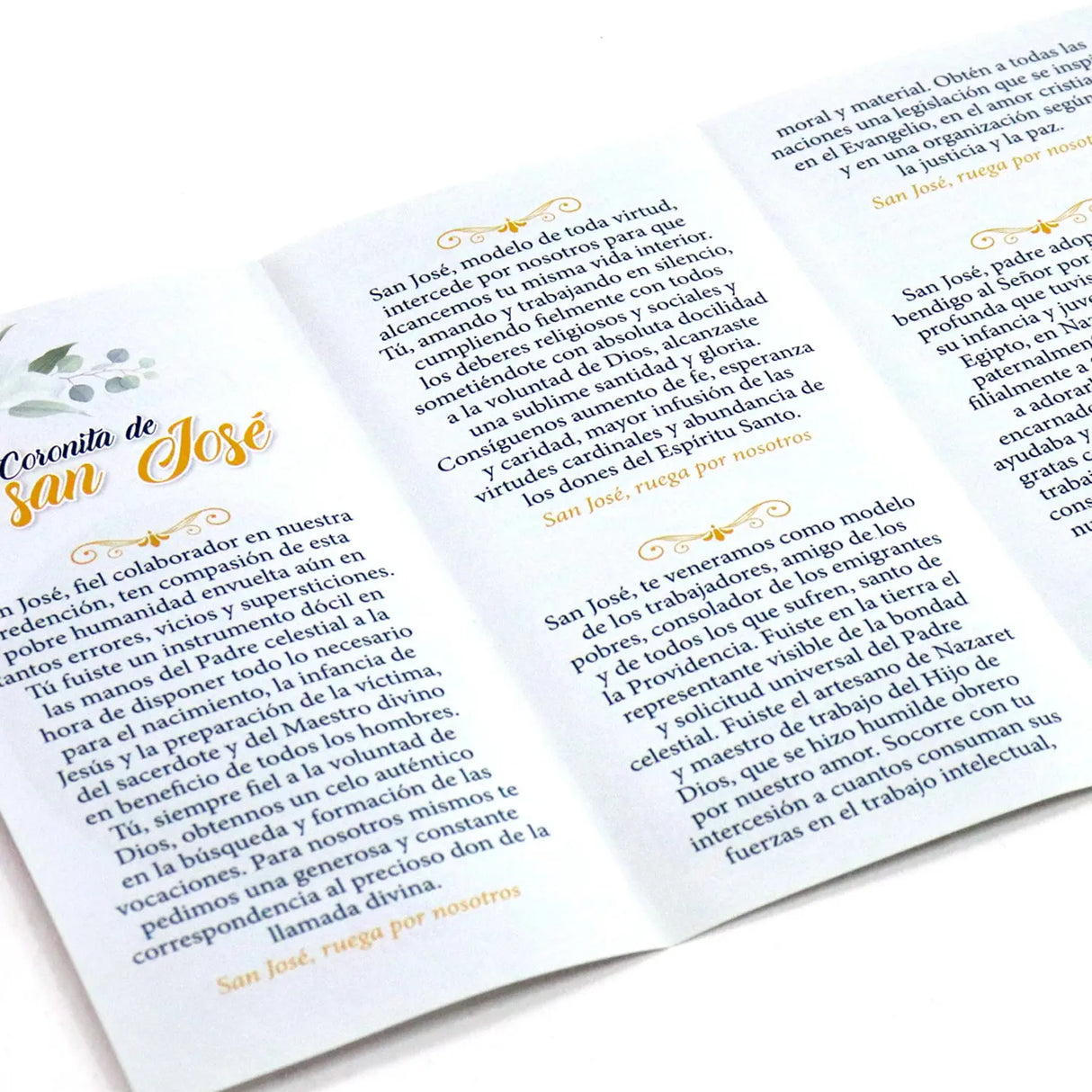 Plegable - Coronita de san josé