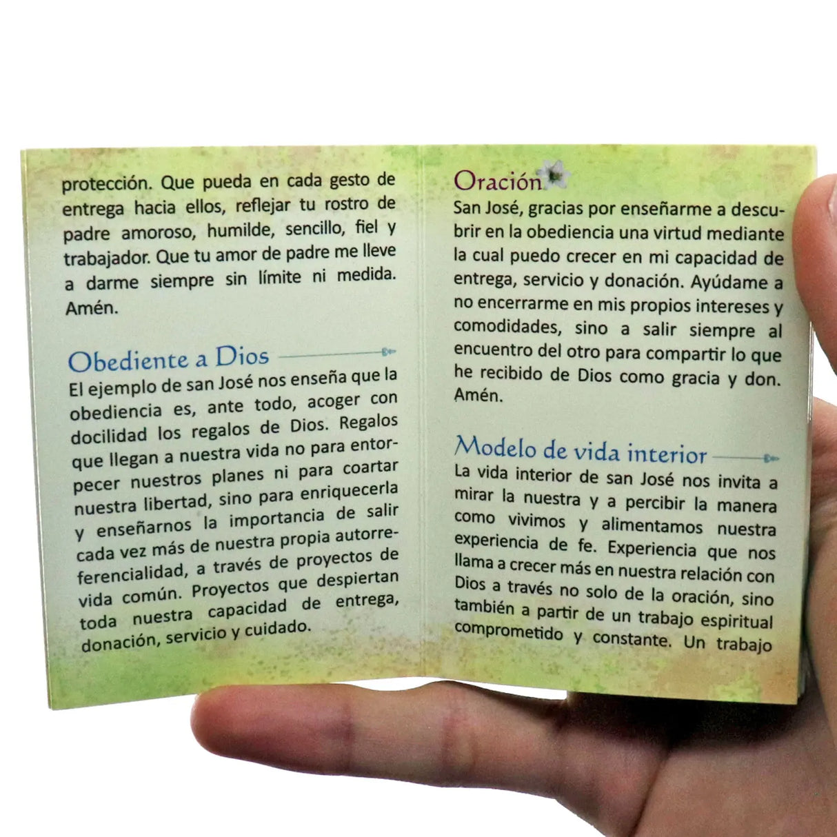 Minibook - Lilies of St. Joseph