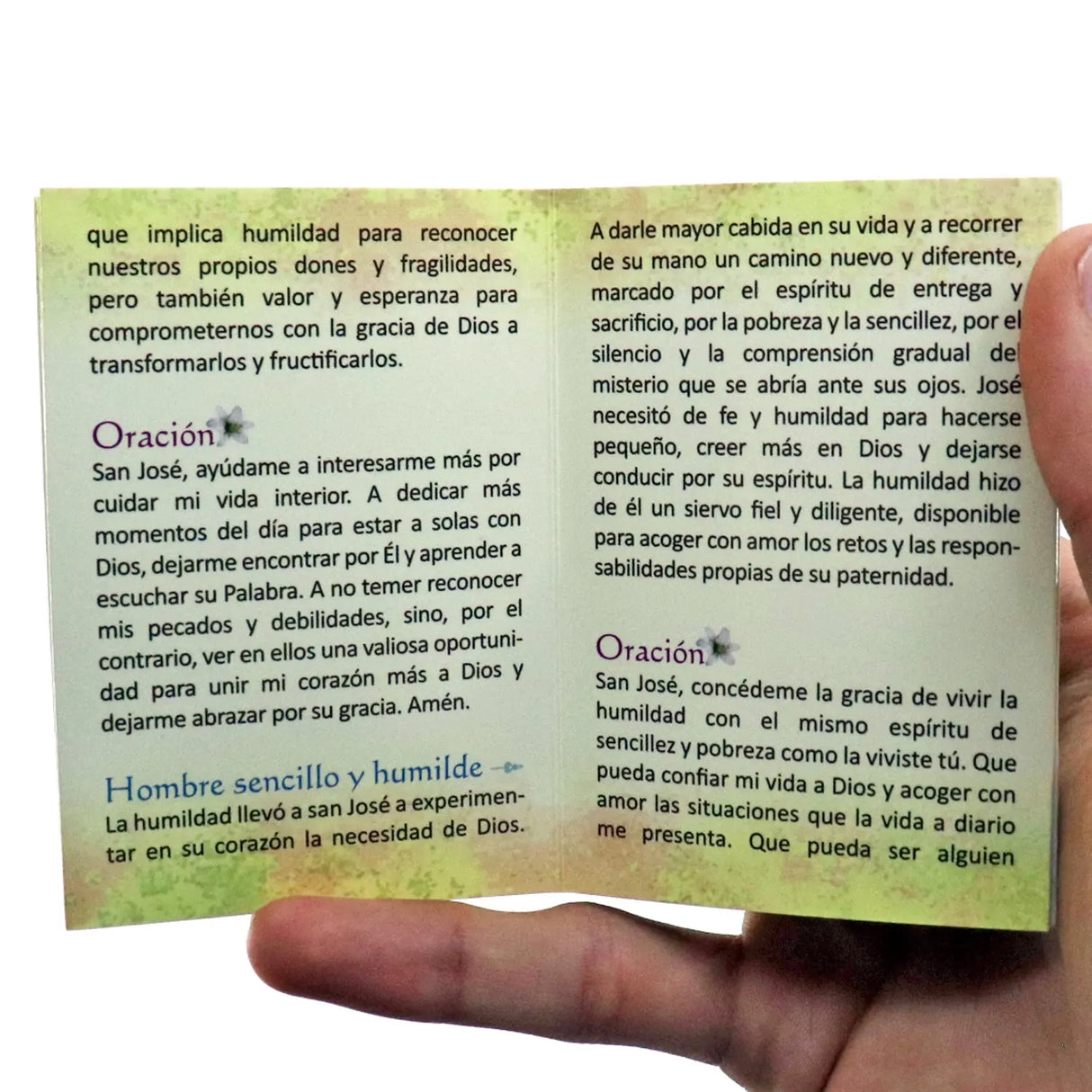 Minibook - Lilies of St. Joseph