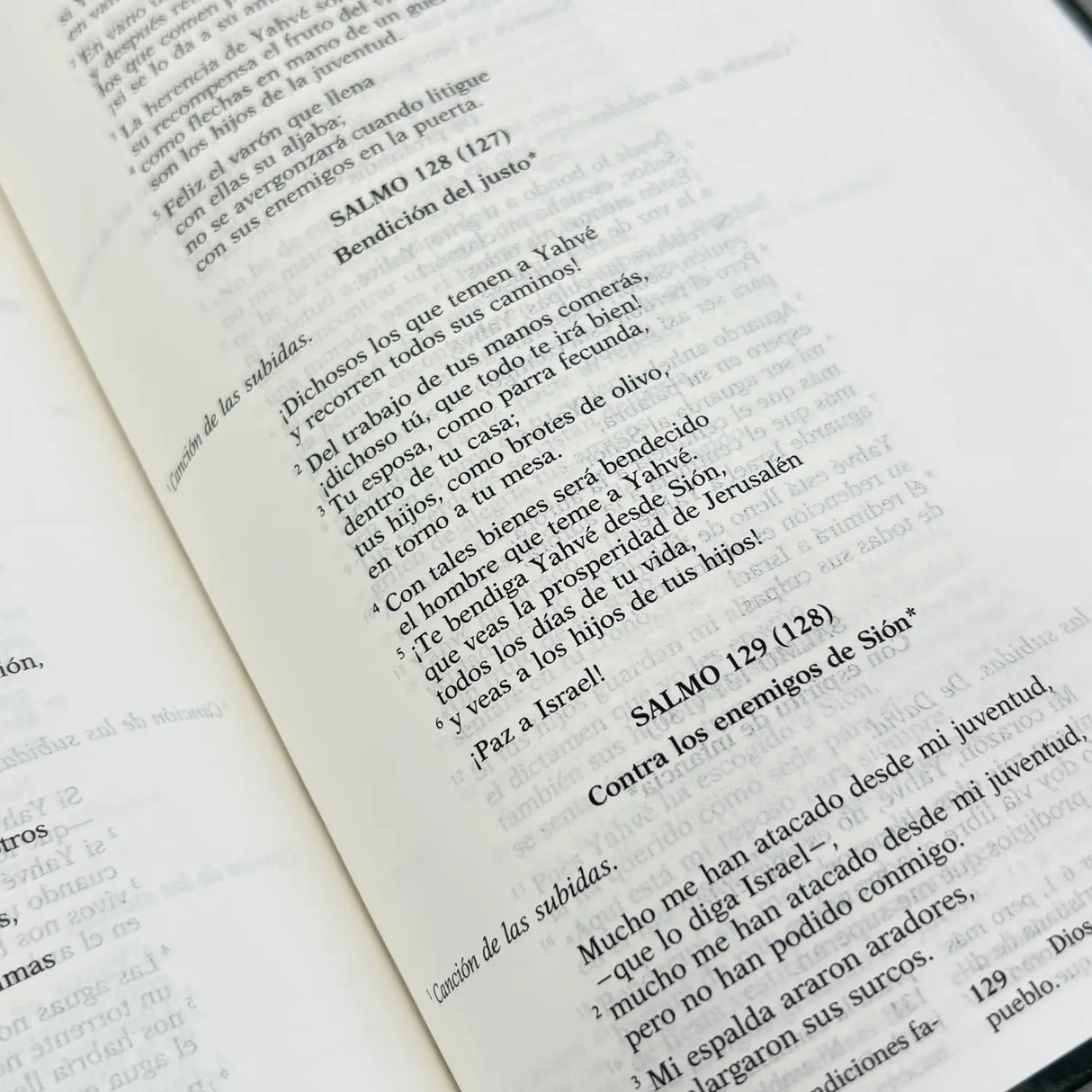 Biblia de Jerusalén latinoamericana pequeña - Tapa dura