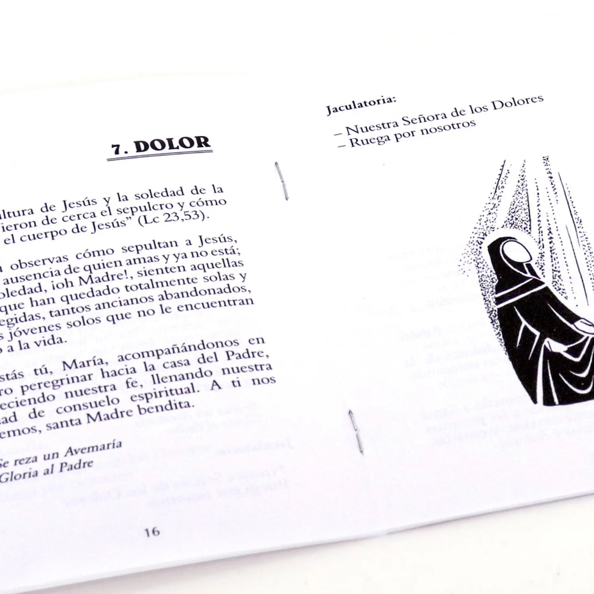 Our Lady of the Seven Sorrows - Reflections - Rosario