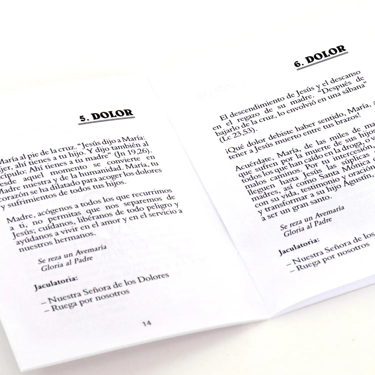 Our Lady of the Seven Sorrows - Reflections - Rosario