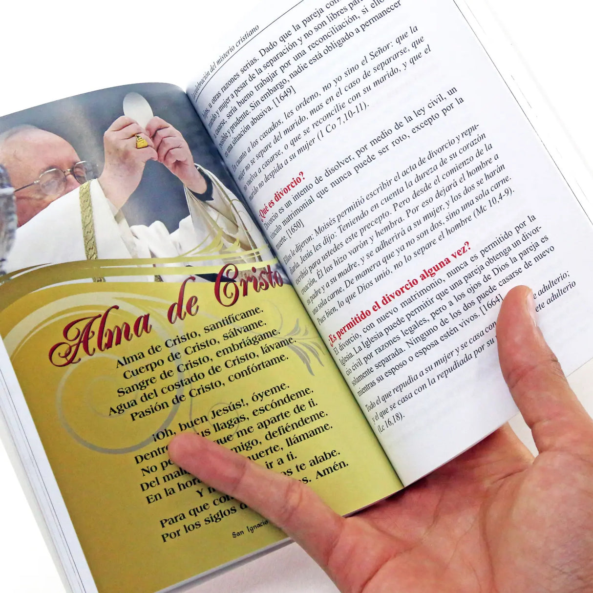 Basic catechism - Creed, sacraments, morals, prayer