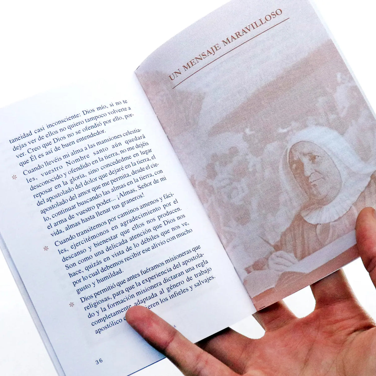 Misionera incansable - Madre Laura