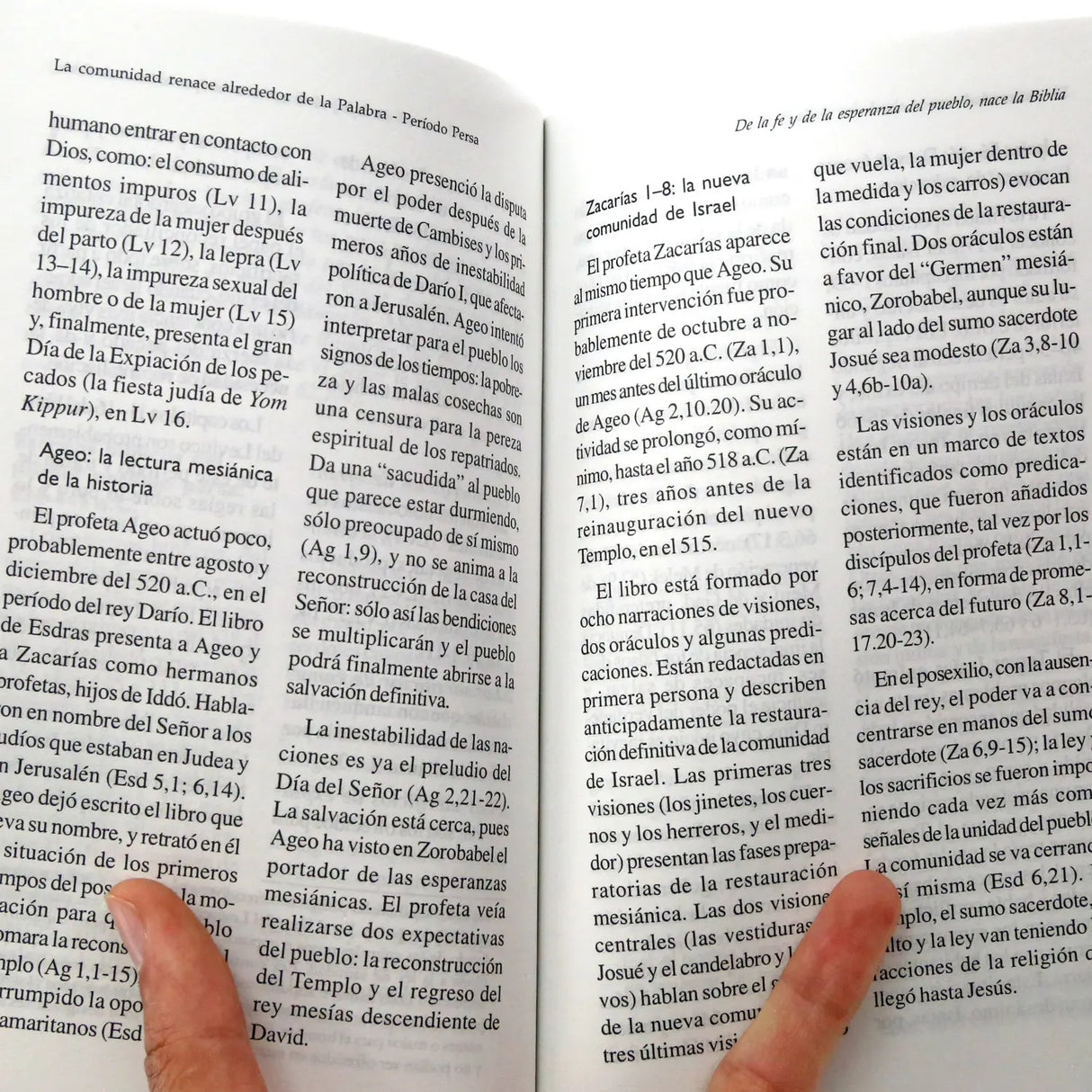 La comunidad renace alrededor de la palabra - Periodo Persa
