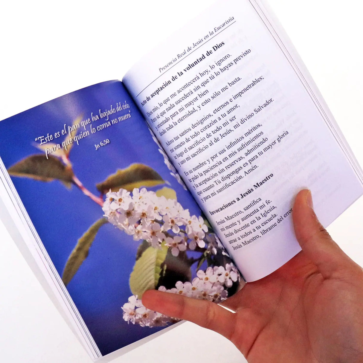 Devocionario eucarístico