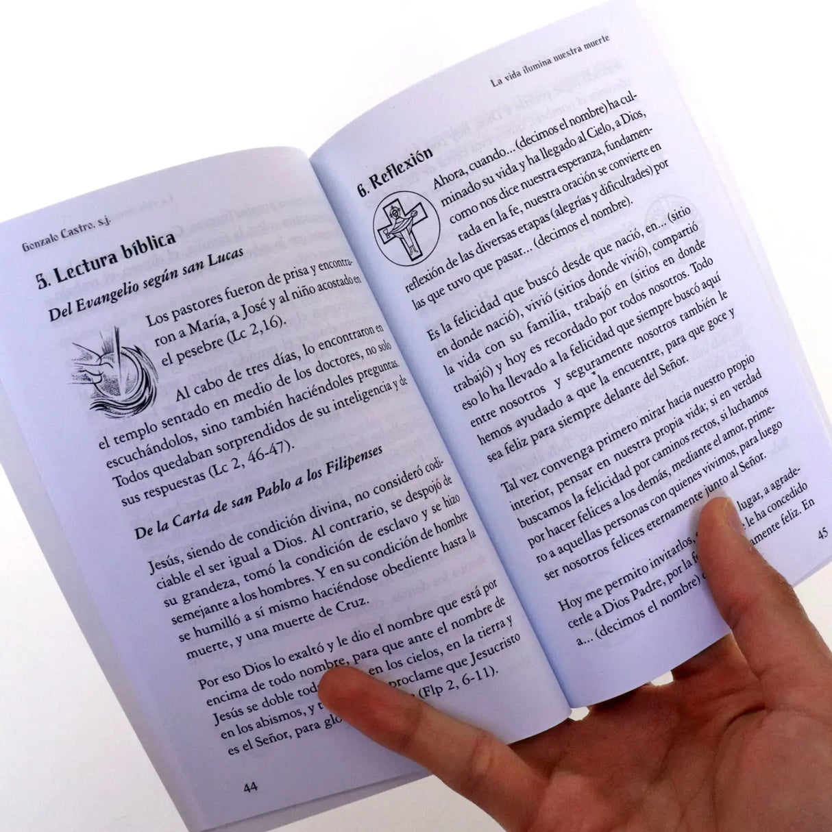 La vida Ilumina nuestra muerte