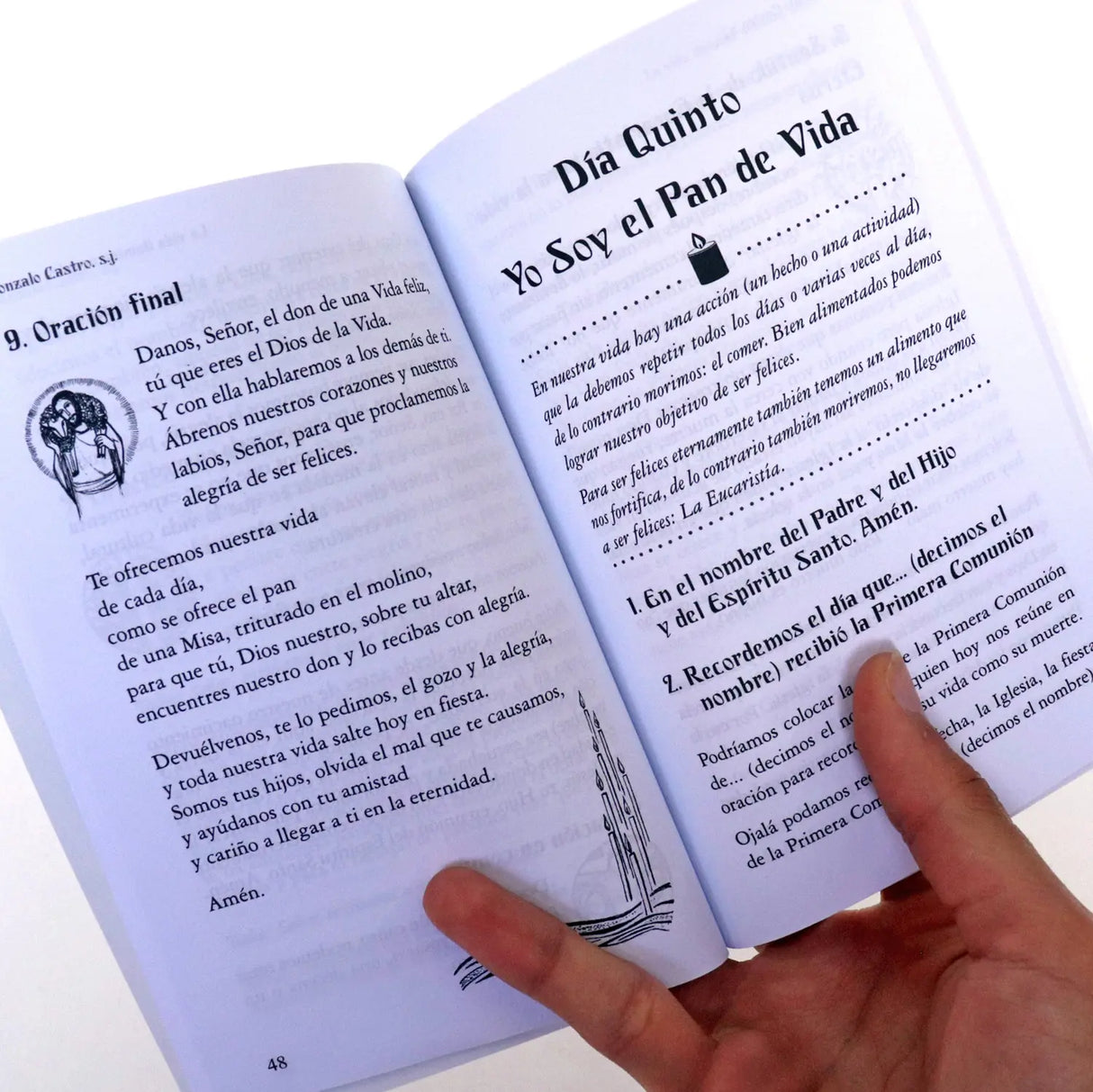 La vida Ilumina nuestra muerte