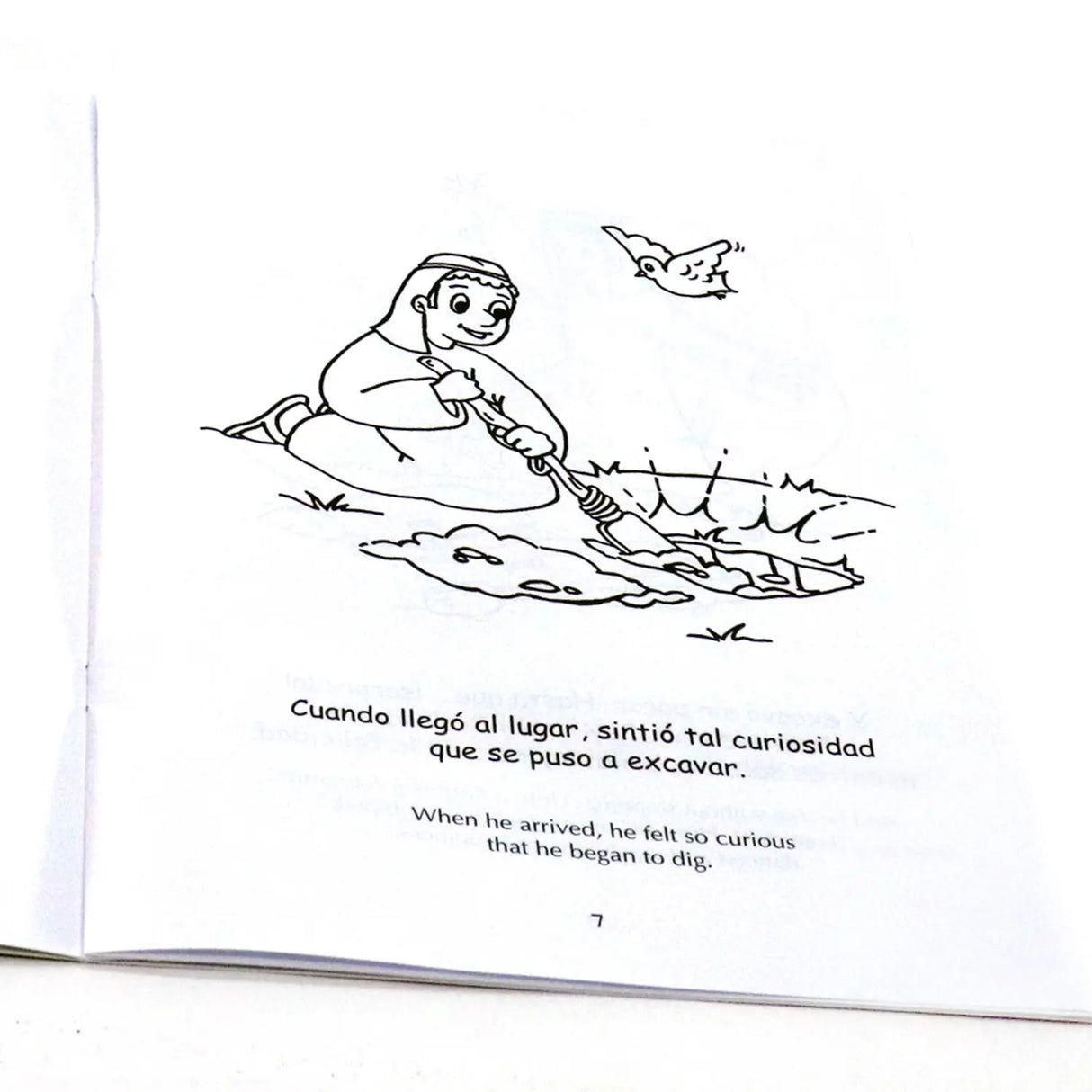 El tesoro escondido - The hidden treasure