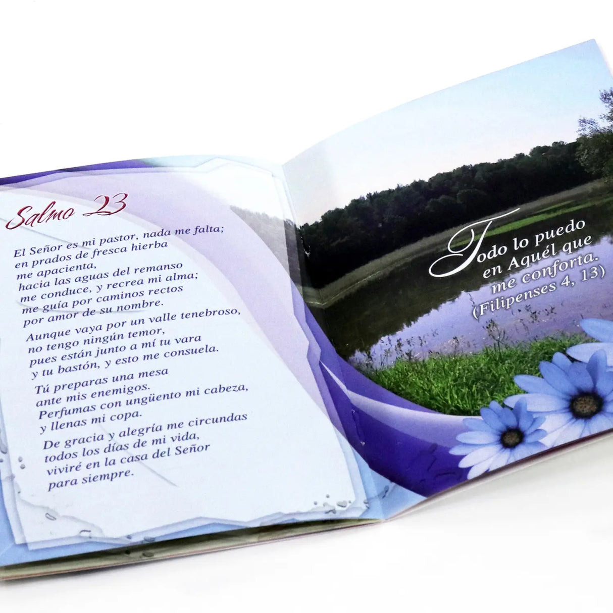 Cuando la tristeza y el dolor llegan