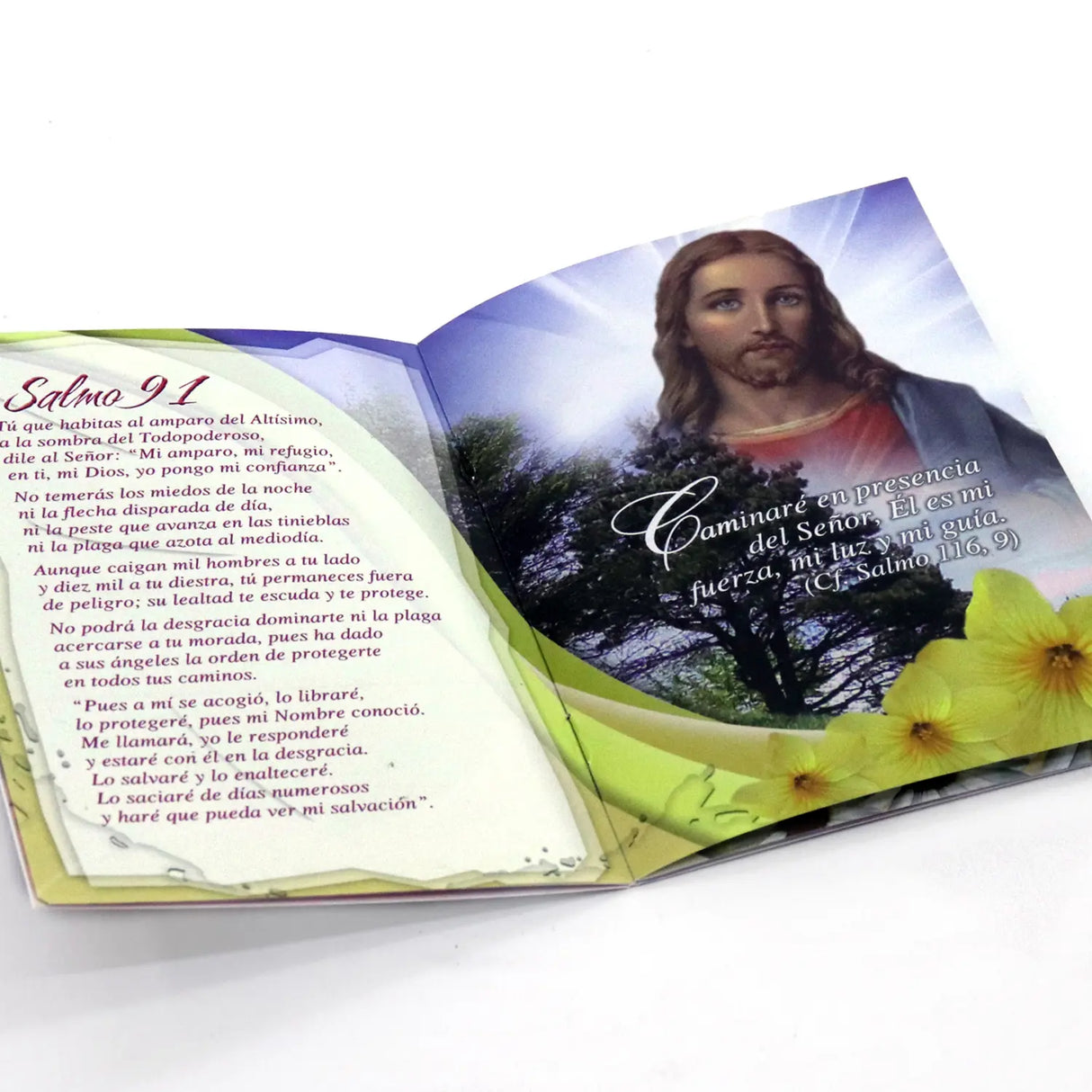 Cuando la tristeza y el dolor llegan