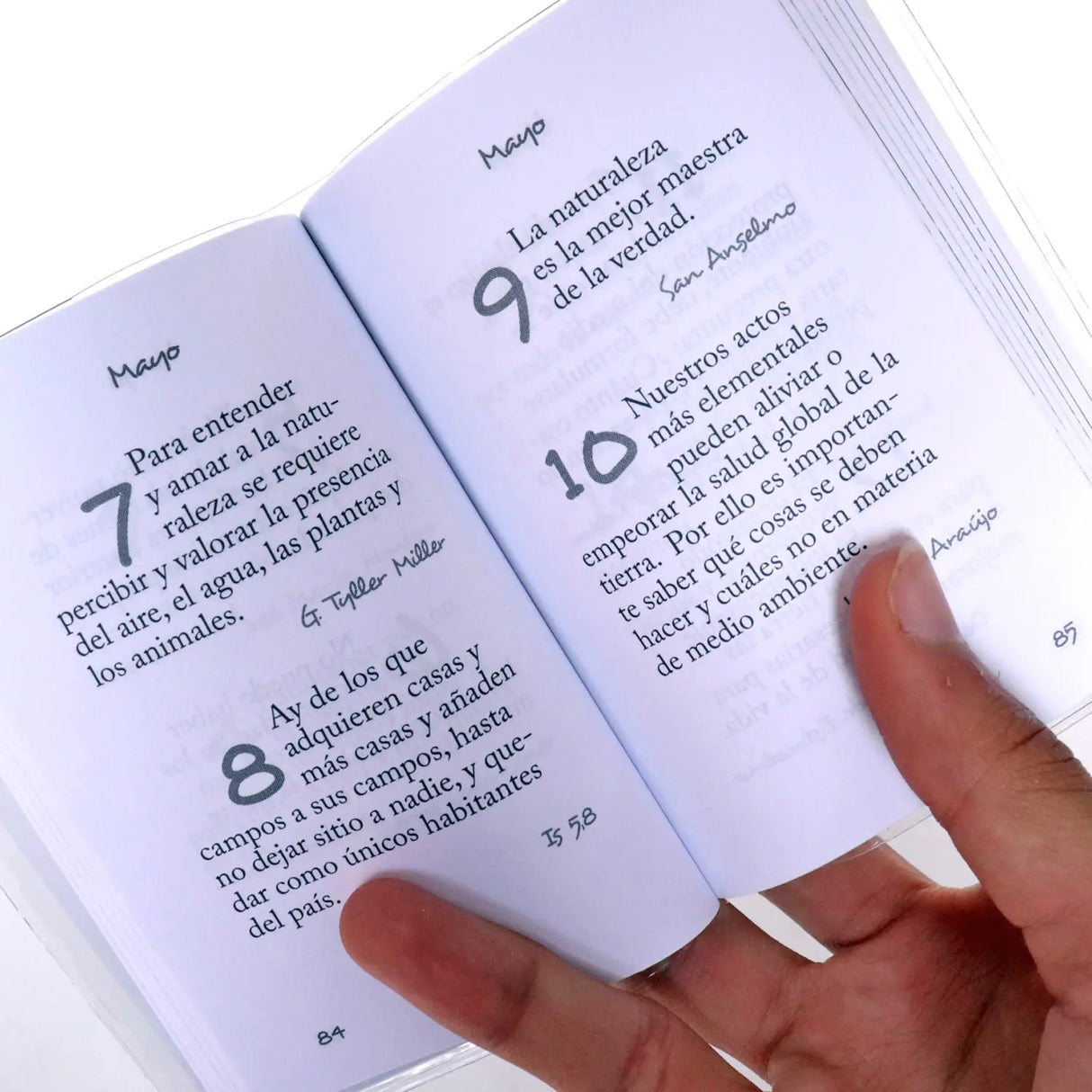 366 Thoughts on Planet Earth