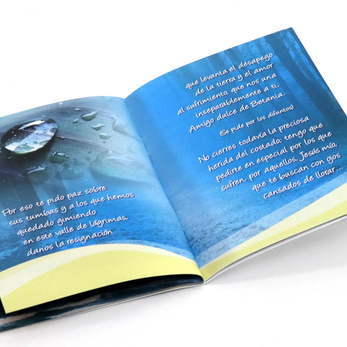 Jesús, amigo de Betania