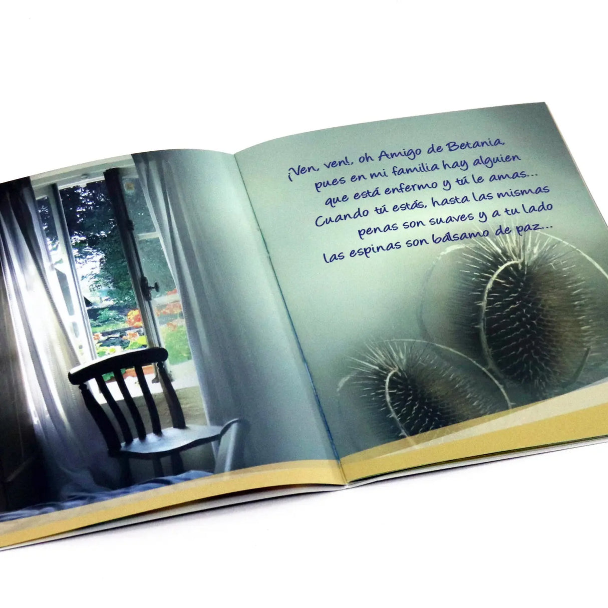 Jesús, amigo de Betania