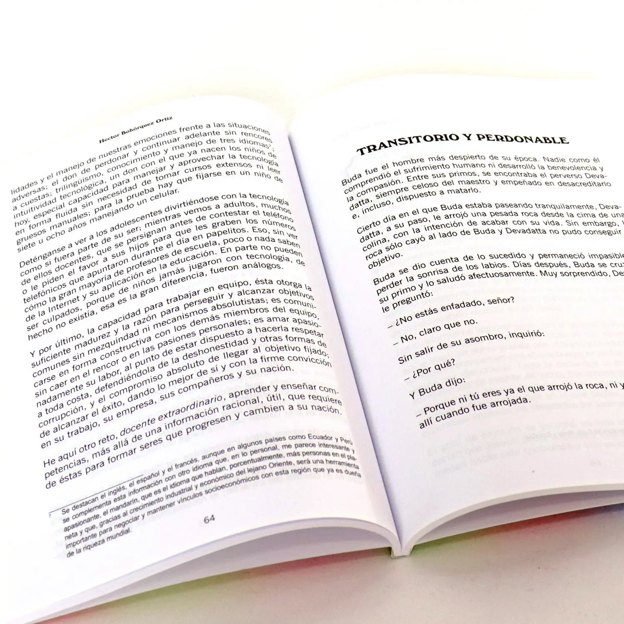 Docentes extraordinarios