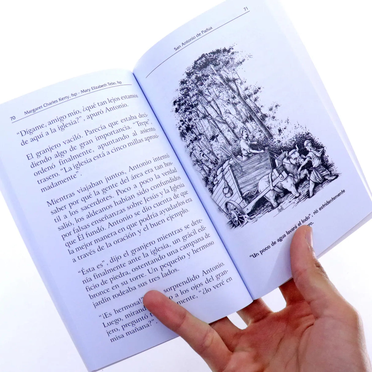 San Antonio de Padua - Fuego y luz