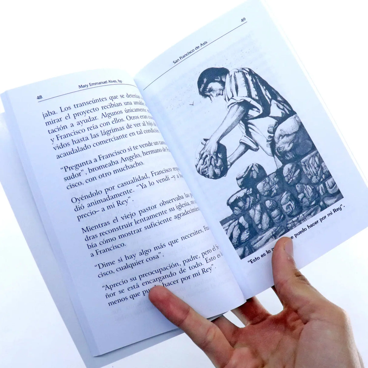 San Francisco de Asís - Pacífico revolucionario