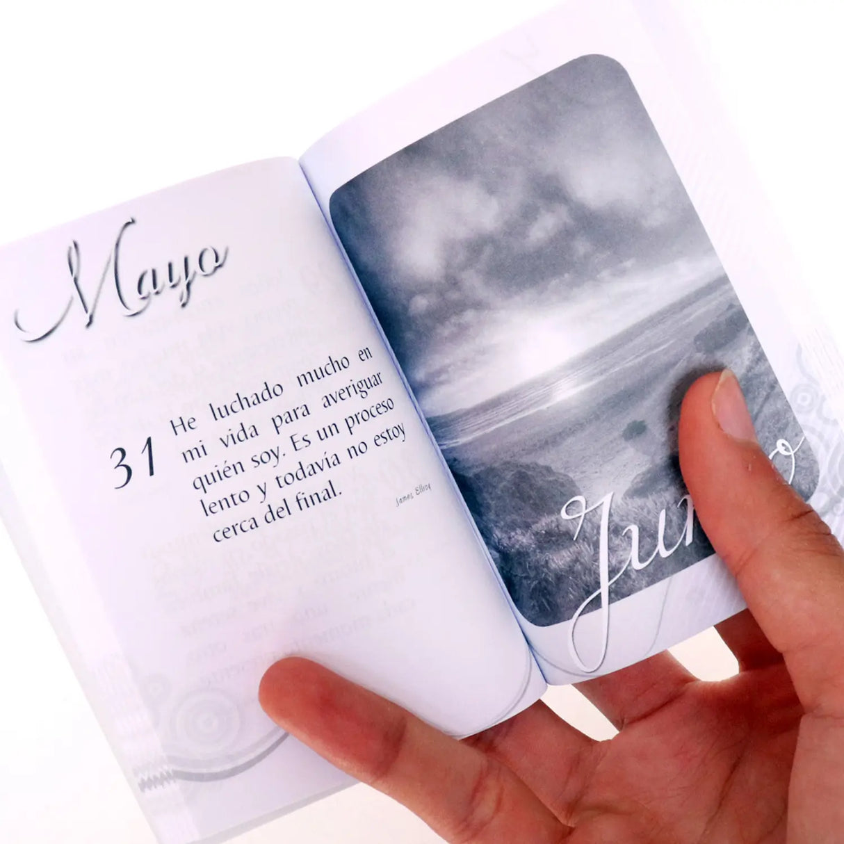 366 Pensamientos para celebrar la vida