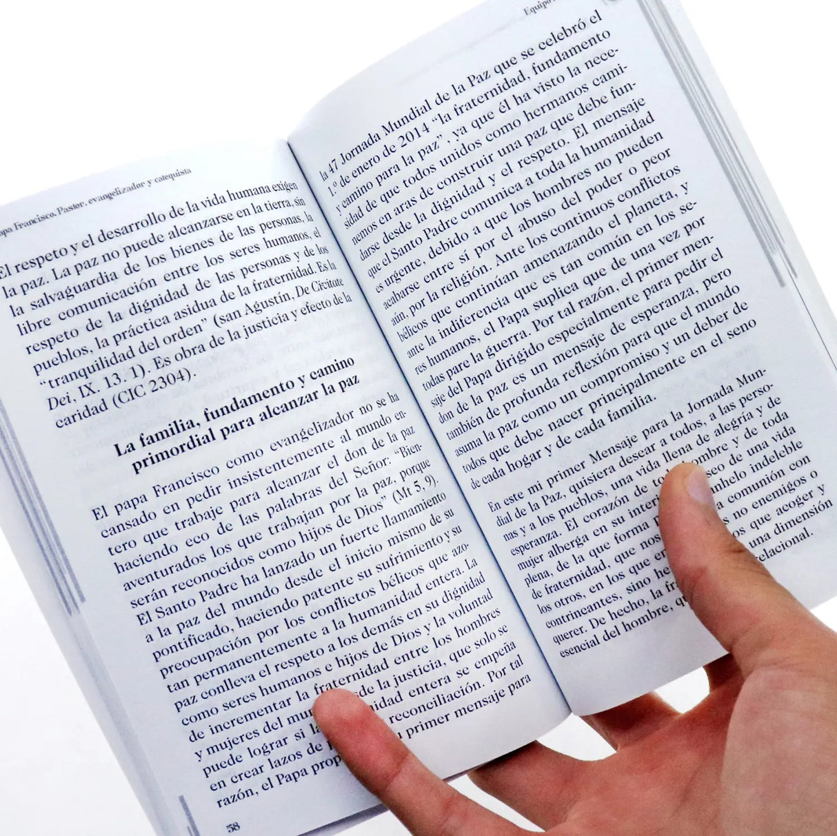 El Papa Francisco Pastor, evangelizador y catequista