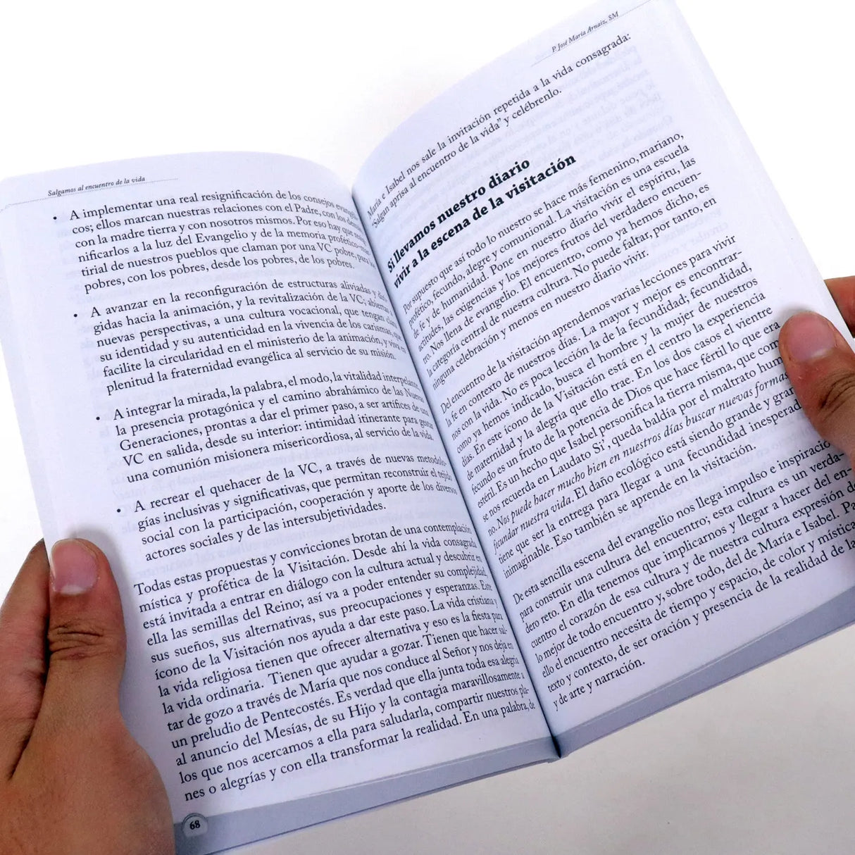 Salgamos al encuentro de la vida