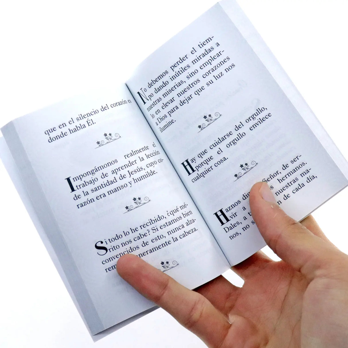 Reflections of Saint Teresa of Calcutta