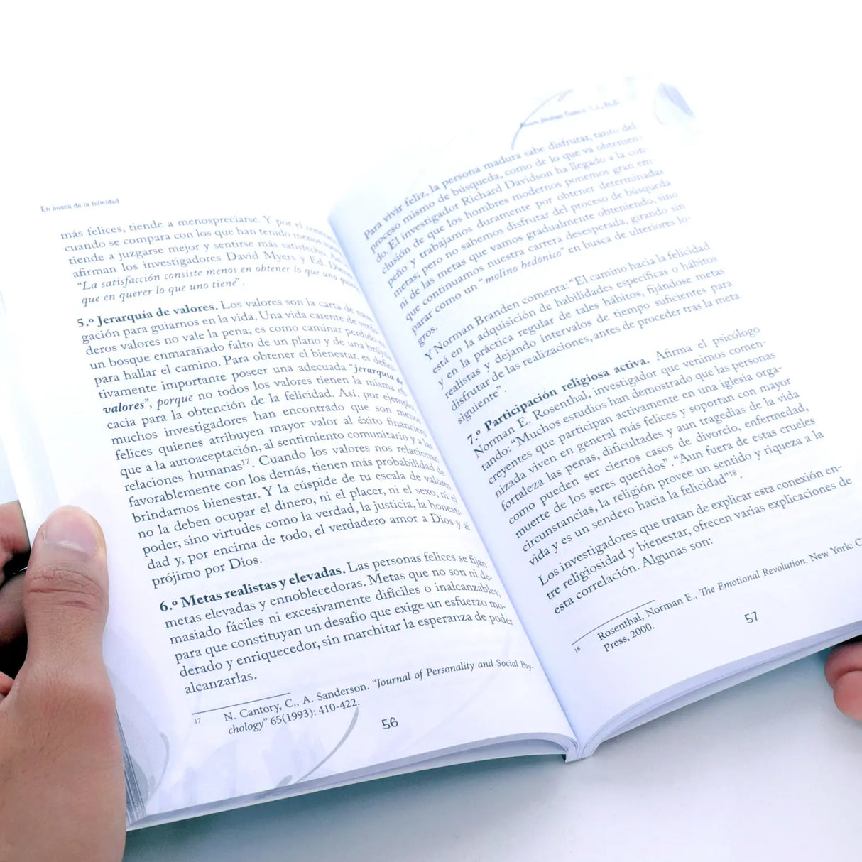 In search of happiness - Psychological and spiritual itinerary