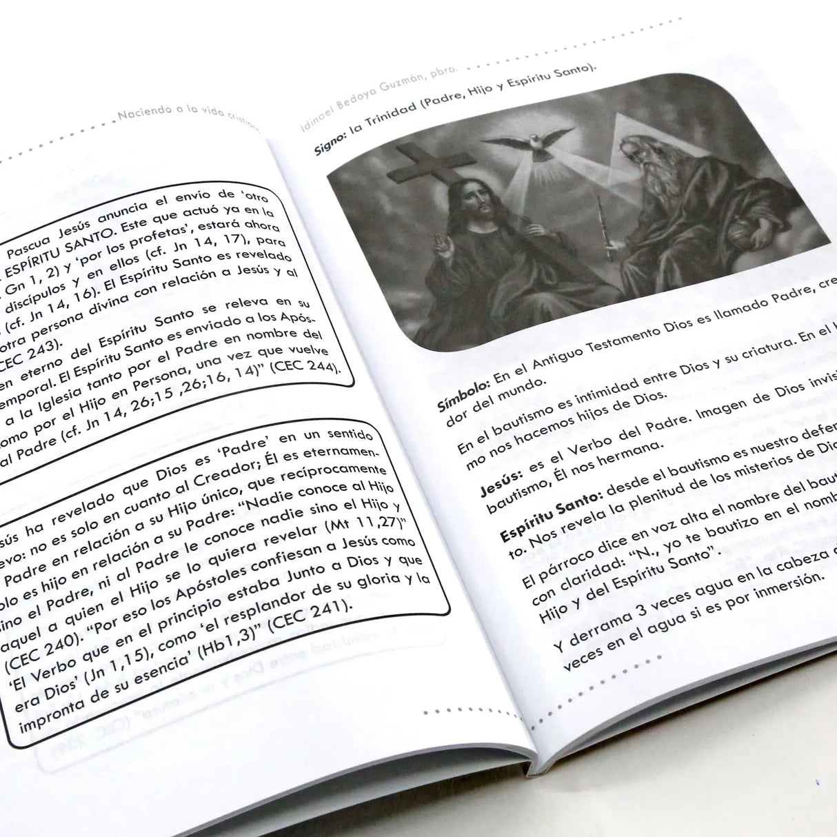 Naciendo a la vida cristiana