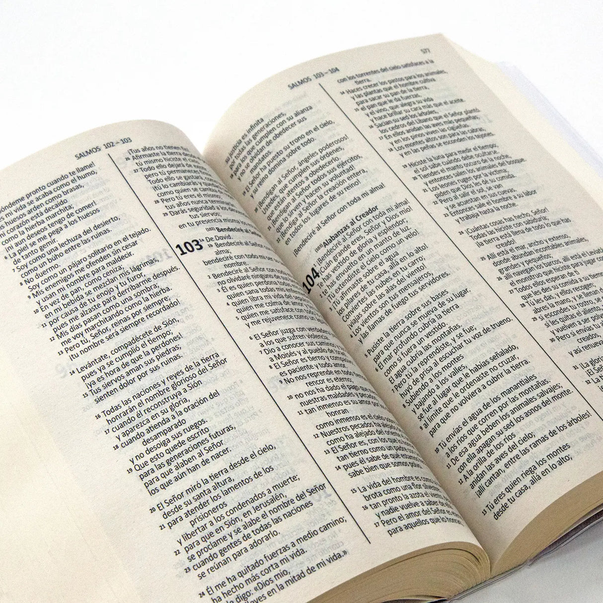 Biblia - Palabra de Dios - Emaús