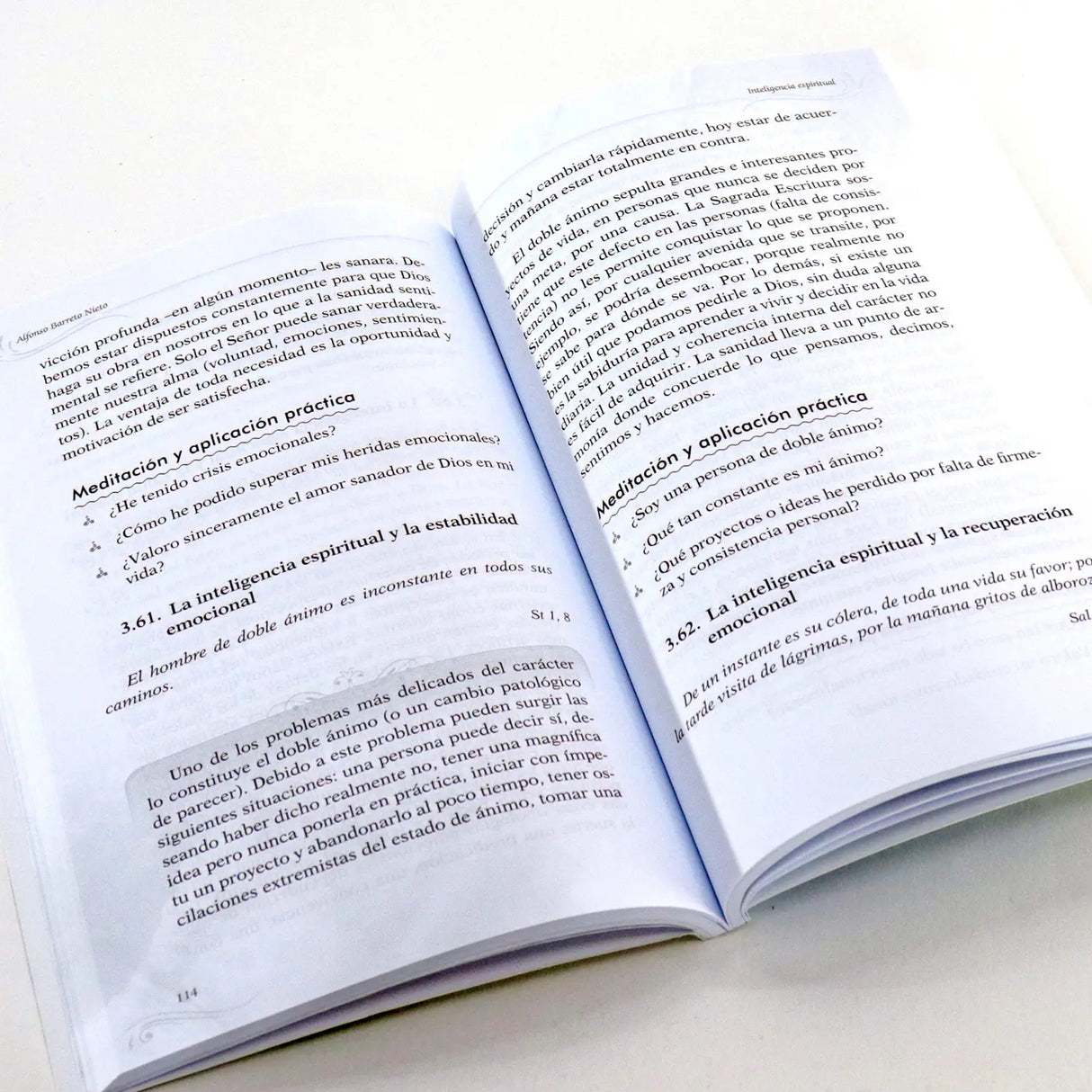 Inteligencia espiritual - Meditaciones integrales y prácticas para la vida