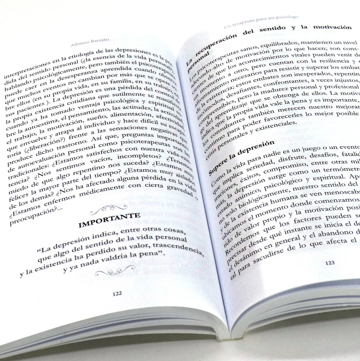 Un terapeuta para mi psicólogo