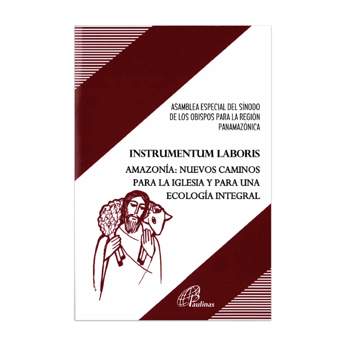 Documento 212 - Instrumentum Laboris: Amazonía