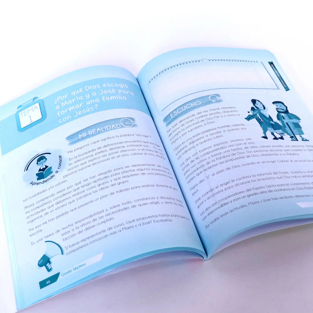 The family - ERE: 7th Grade