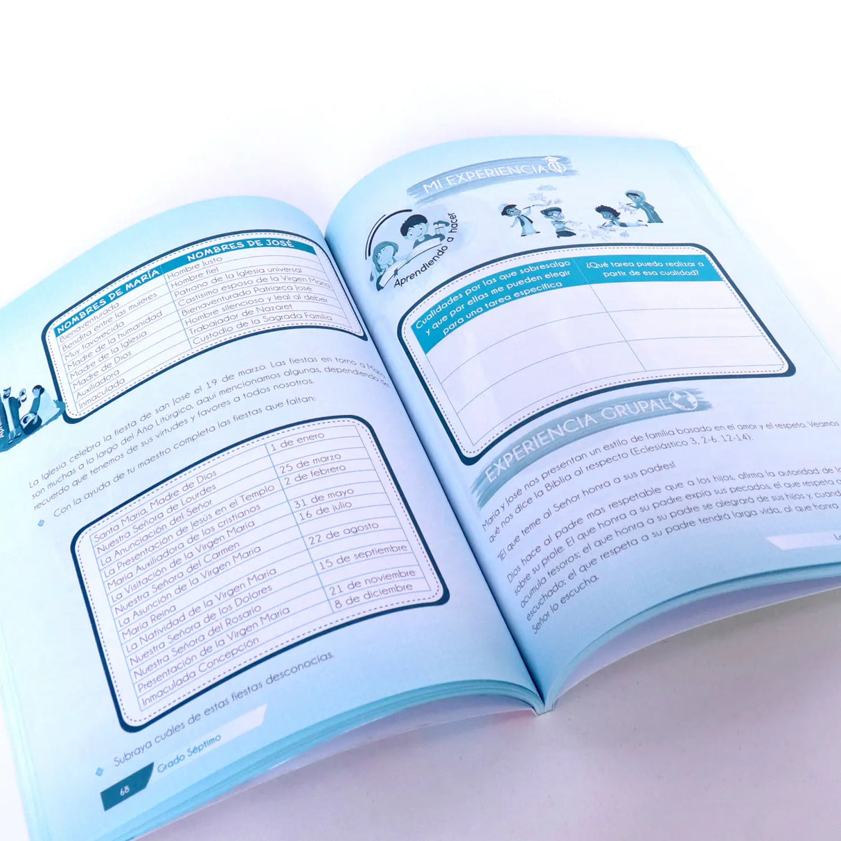 The family - ERE: 7th Grade