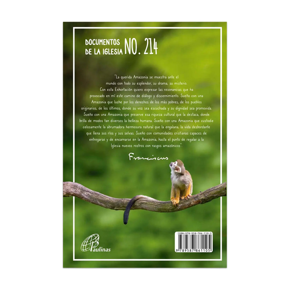 Documento 214 - Querida Amazonia