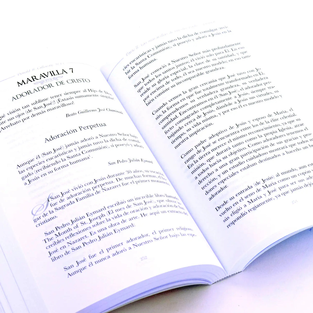 Consagración a san José