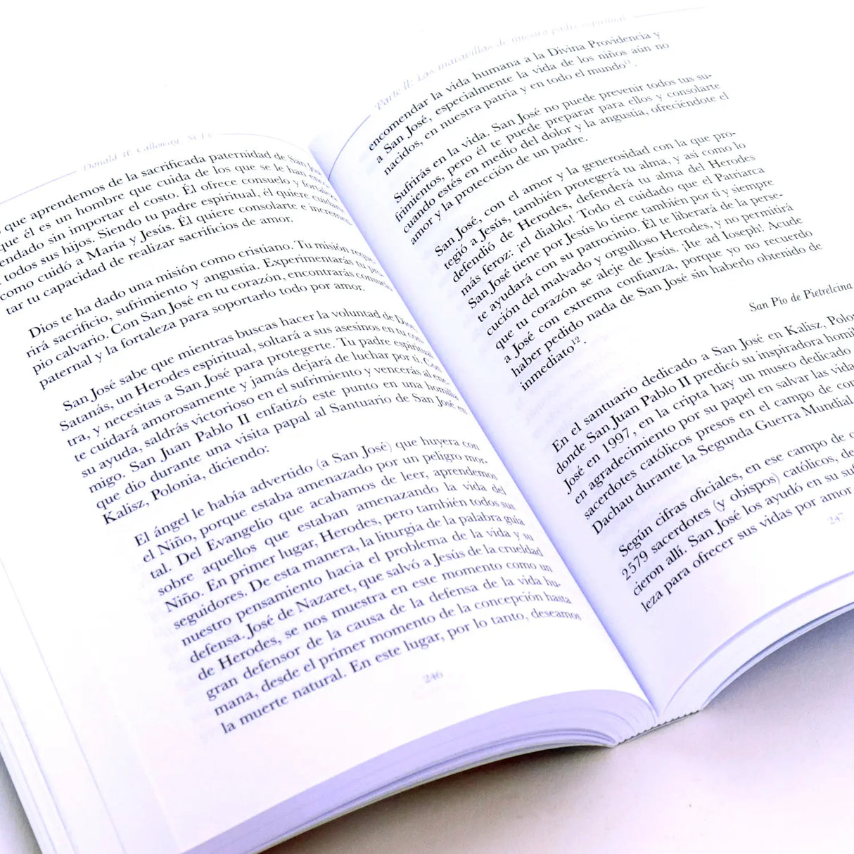 Consagración a san José