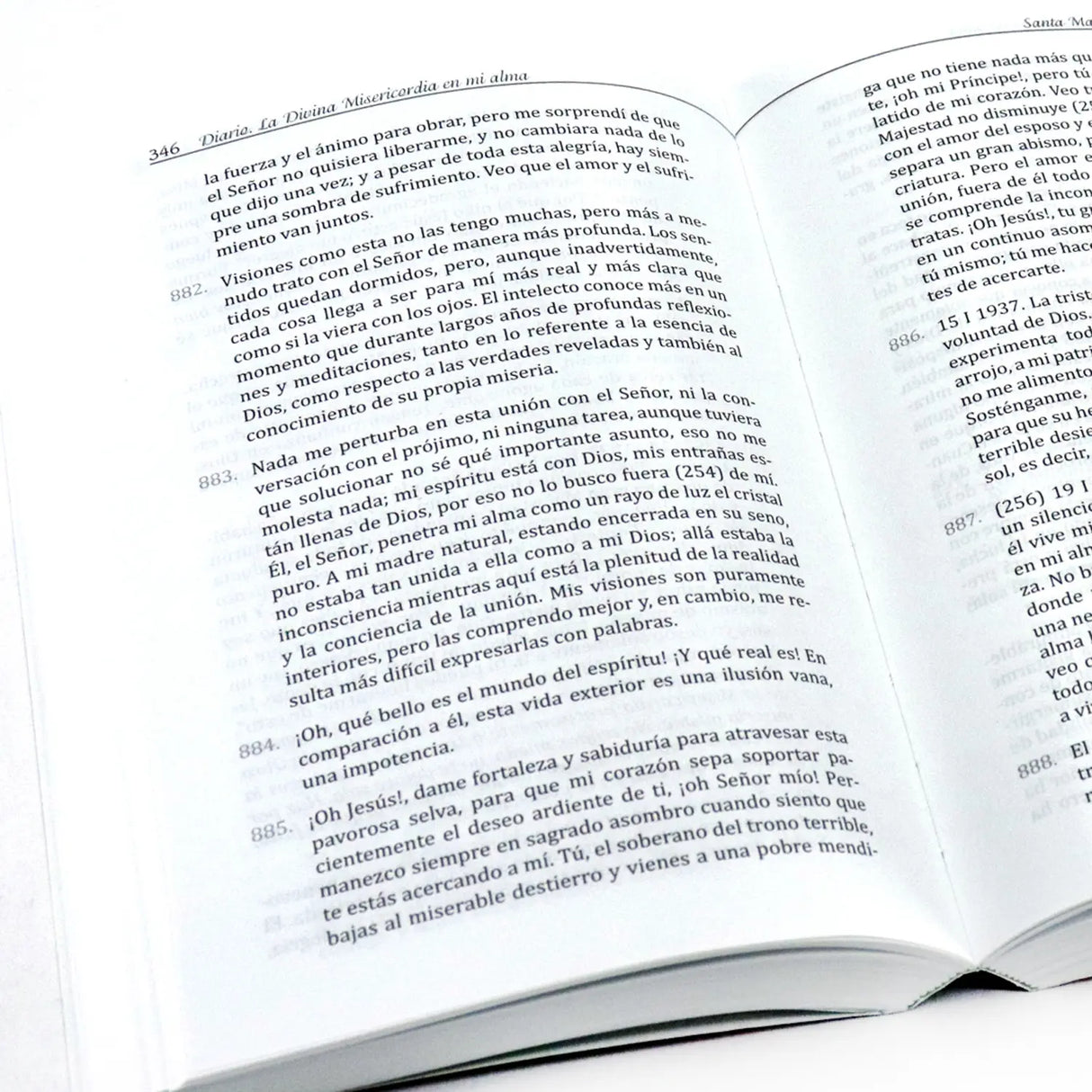 Diario - La Divina Misericordia en mi alma