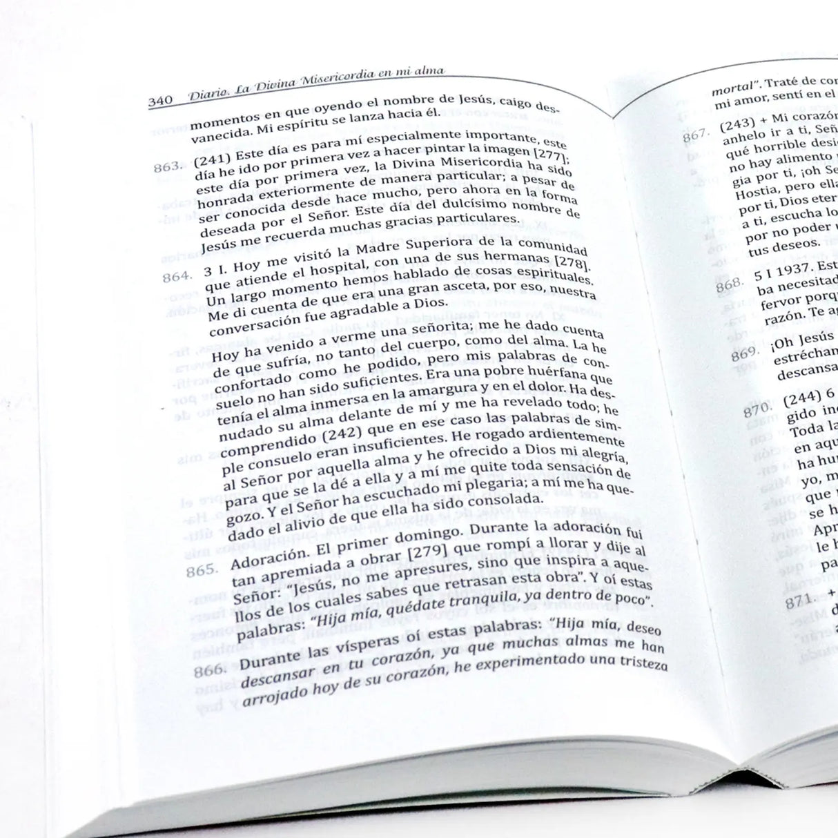 Diario - La Divina Misericordia en mi alma