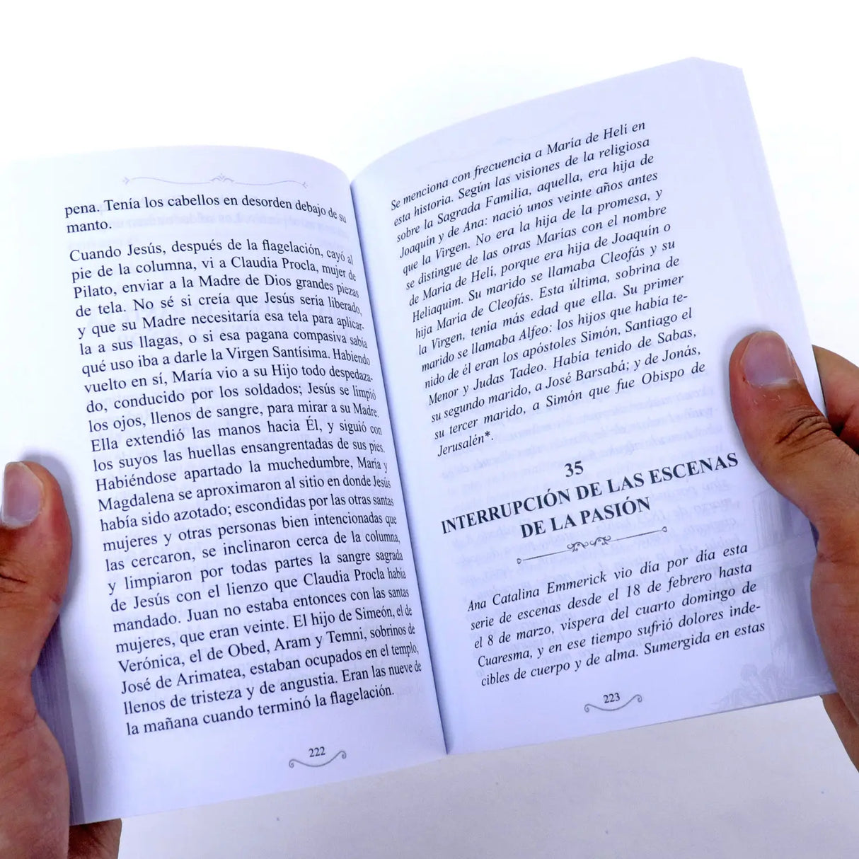 La amarga Pasión de Cristo