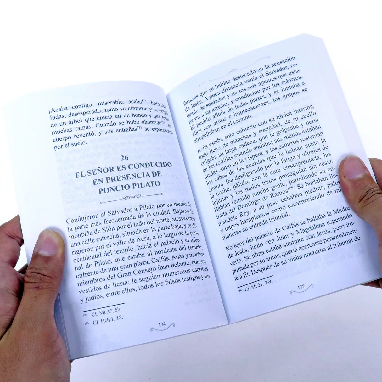 La amarga Pasión de Cristo