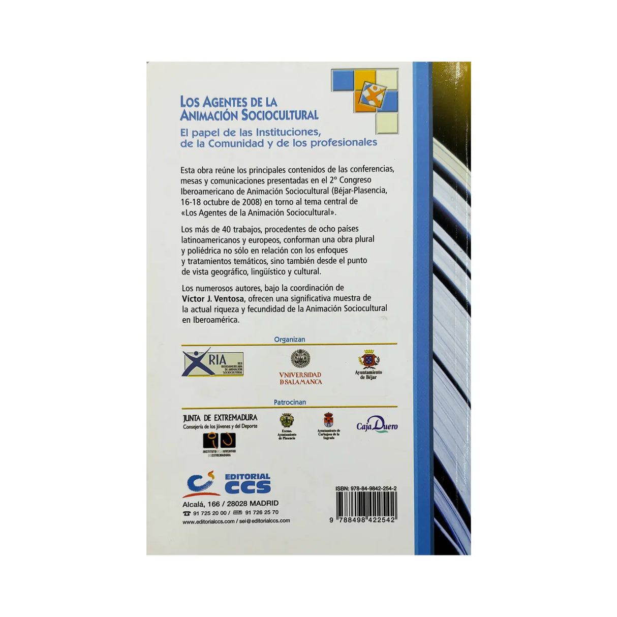 Agents of sociocultural animation