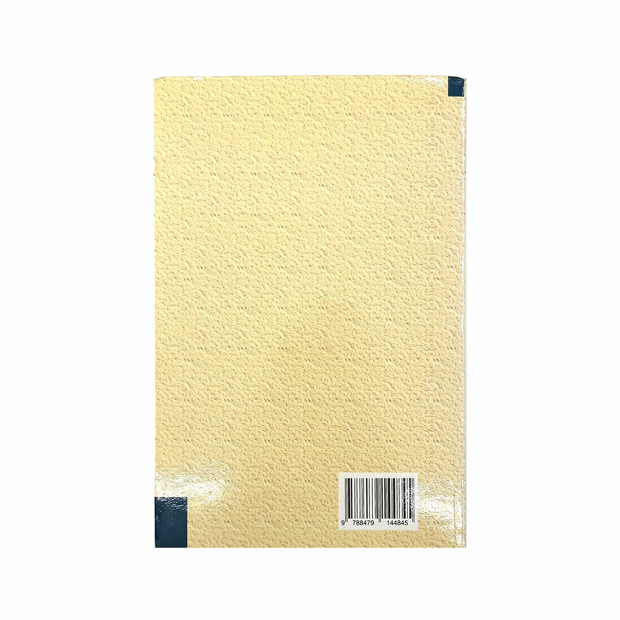 Meditation on the Church of the 20th Century