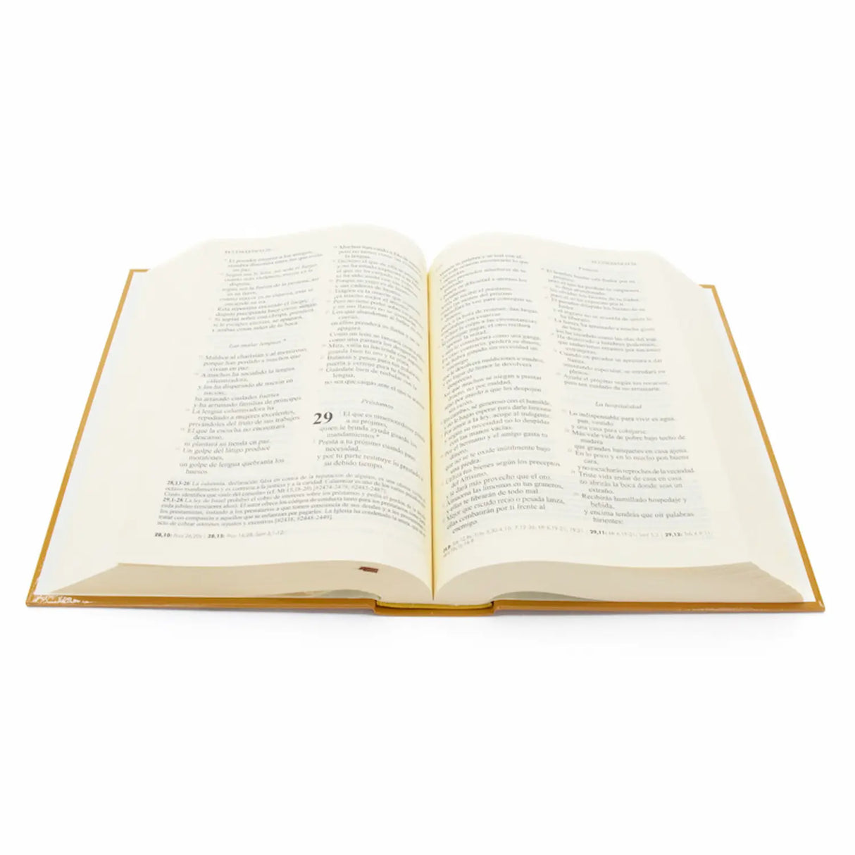 Jerusalem Bible (Large Print and Hardcover)